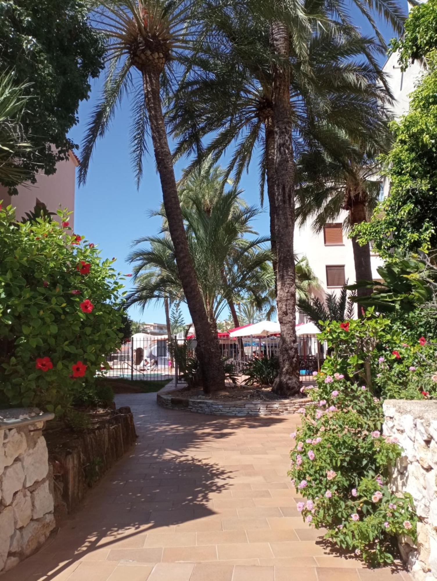 Apartamento Parchis Con Piscina Denia Εξωτερικό φωτογραφία